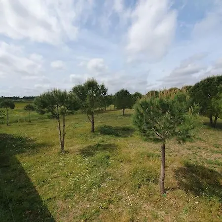 Villa Sans Vis-a-vis Avec Vue Et Piscine Situee Entre Nimes Et Montpellier, A 20 Minutes Des Plages Aigues-Vives (Gard)