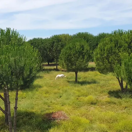 Sans Vis-a-vis Avec Vue Et Piscine Situee Entre Nimes Et Montpellier, A 20 Minutes Des Plages Vila Aigues-Vives (Gard)